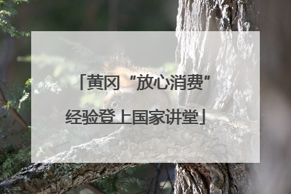 黄冈“放心消费”经验登上国家讲堂