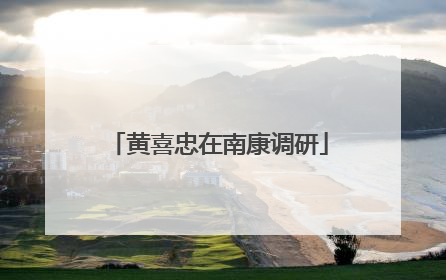 黄喜忠在南康调研