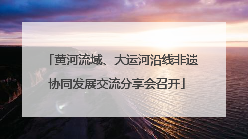 黄河流域、大运河沿线非遗协同发展交流分享会召开