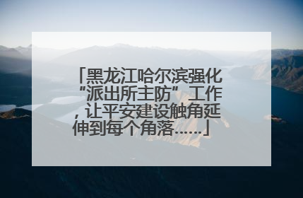 黑龙江哈尔滨强化“派出所主防”工作，让平安建设触角延伸到每个角落……