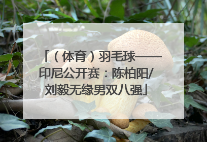 （体育）羽毛球——印尼公开赛：陈柏阳/刘毅无缘男双八强
