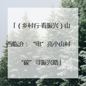 （乡村行·看振兴）山西临汾：“电”亮小山村 “碳”寻振兴路