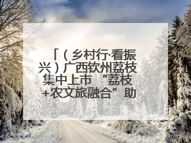 （乡村行·看振兴）广西钦州荔枝集中上市 “荔枝+农文旅融合”助农增收