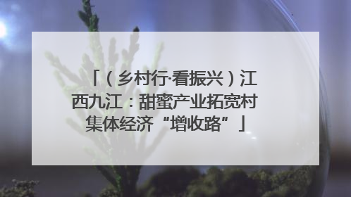（乡村行·看振兴）江西九江：甜蜜产业拓宽村集体经济“增收路”