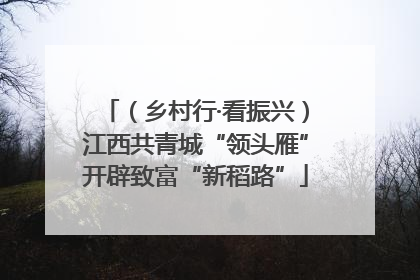 （乡村行·看振兴）江西共青城“领头雁”开辟致富“新稻路”