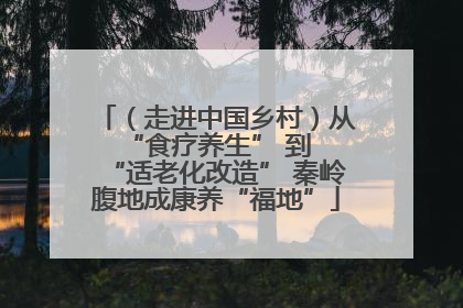 （走进中国乡村）从 “食疗养生” 到 “适老化改造” 秦岭腹地成康养“福地”