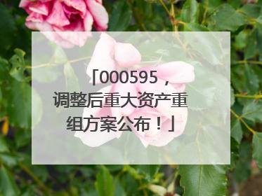000595，调整后重大资产重组方案公布！