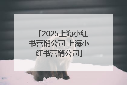 2025上海小红书营销公司 上海小红书营销公司