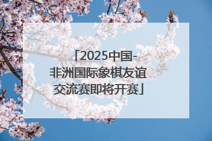 2025中国-非洲国际象棋友谊交流赛即将开赛