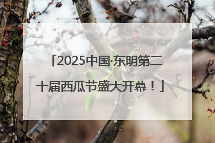 2025中国·东明第二十届西瓜节盛大开幕！