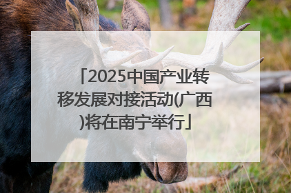 2025中国产业转移发展对接活动(广西)将在南宁举行