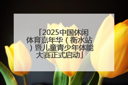 2025中国休闲体育嘉年华（衡水站）暨儿童青少年体能大赛正式启动
