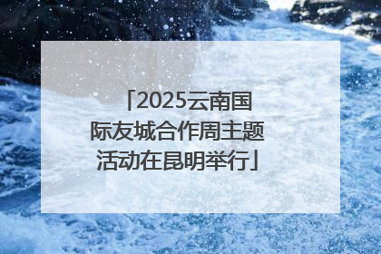 2025云南国际友城合作周主题活动在昆明举行