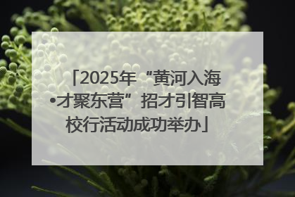 2025年“黄河入海•才聚东营”招才引智高校行活动成功举办