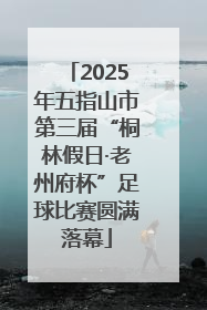 2025年五指山市第三届“桐林假日·老州府杯”足球比赛圆满落幕