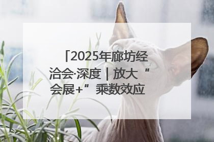 2025年廊坊经洽会·深度｜放大“会展+”乘数效应 打造消费新场景