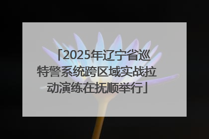 2025年辽宁省巡特警系统跨区域实战拉动演练在抚顺举行