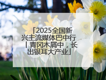 2025全国新兴主流媒体巴中行丨青冈木屑中，长出银耳大产业