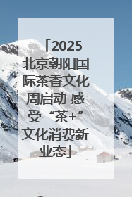 2025北京朝阳国际茶香文化周启动 感受“茶+”文化消费新业态