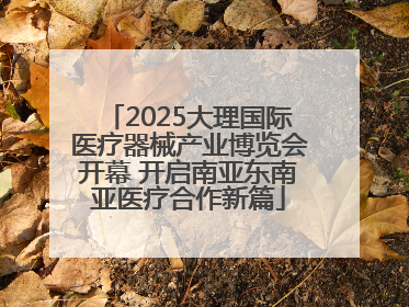 2025大理国际医疗器械产业博览会开幕 开启南亚东南亚医疗合作新篇