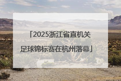 2025浙江省直机关足球锦标赛在杭州落幕