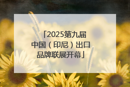 2025第九届中国（印尼）出口品牌联展开幕