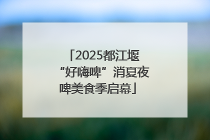 2025都江堰“好嗨啤”消夏夜啤美食季启幕