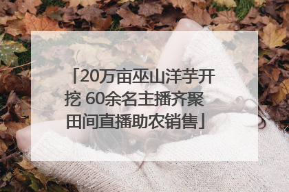 20万亩巫山洋芋开挖 60余名主播齐聚田间直播助农销售