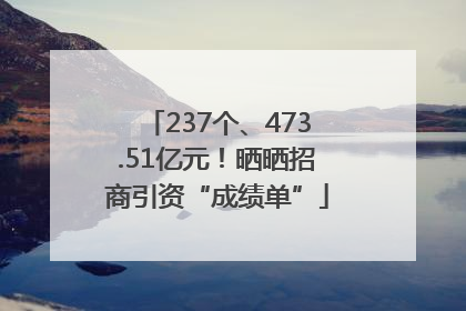 237个、473.51亿元！晒晒招商引资“成绩单”