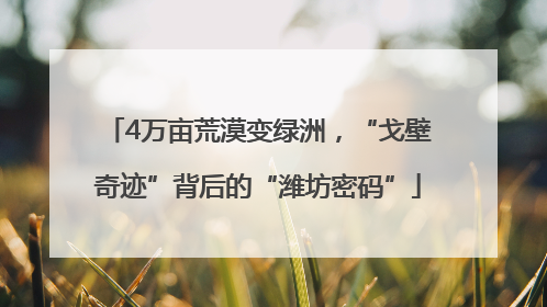 4万亩荒漠变绿洲，“戈壁奇迹”背后的“潍坊密码”