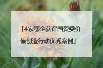 4家鄂企获评国资委价值创造行动优秀案例