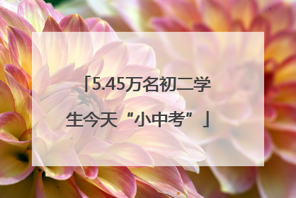 5.45万名初二学生今天“小中考”