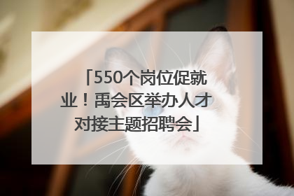 550个岗位促就业！禹会区举办人才对接主题招聘会