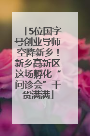 5位国字号创业导师空降新乡！新乡高新区这场孵化“问诊会”干货满满