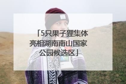 5只果子狸集体亮相湖南南山国家公园候选区