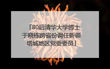 80后清华大学博士于晓栋跨省份调任新疆塔城地区党委委员