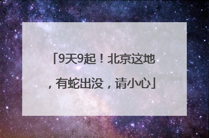 9天9起！北京这地，有蛇出没，请小心