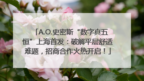 A.O.史密斯“数字真五恒”上海首发：破解平层舒适难题，招商合作火热开启！