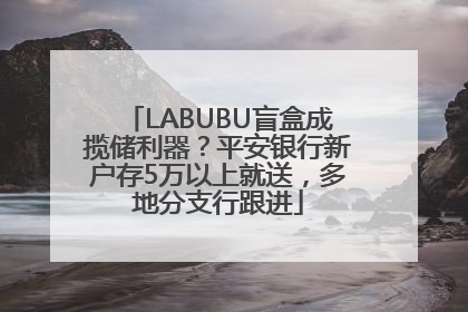 LABUBU盲盒成揽储利器？平安银行新户存5万以上就送，多地分支行跟进